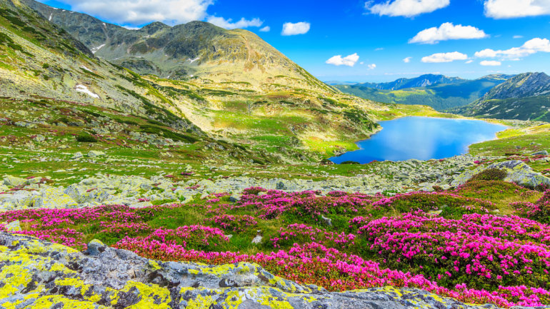 Panoramic View of Valley of Flowers