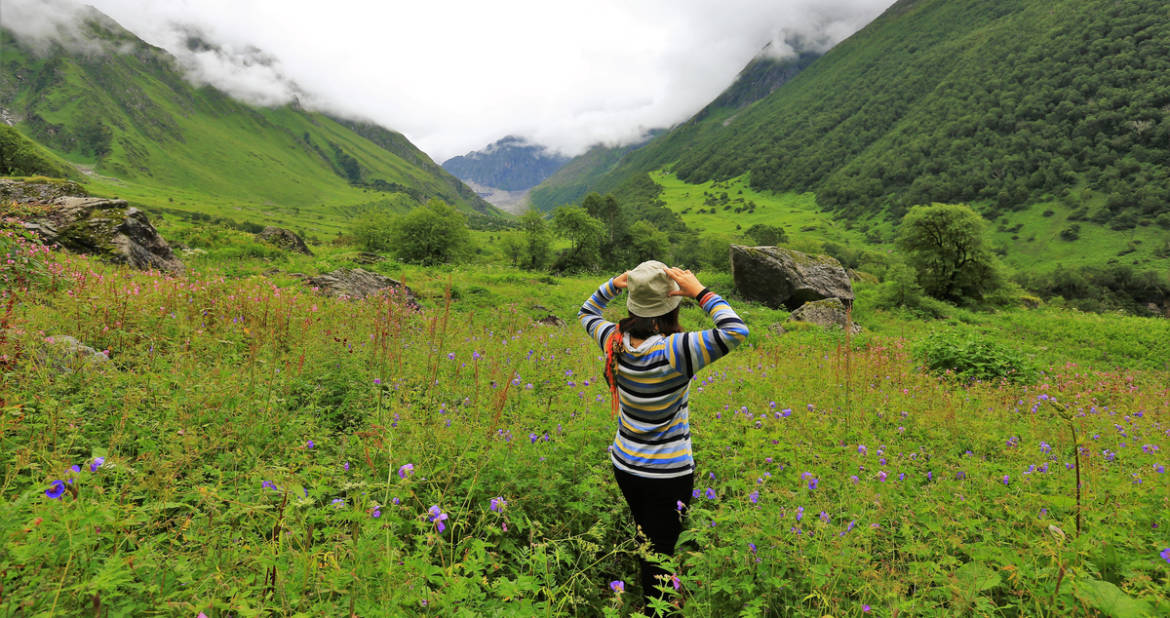 valley of flowers