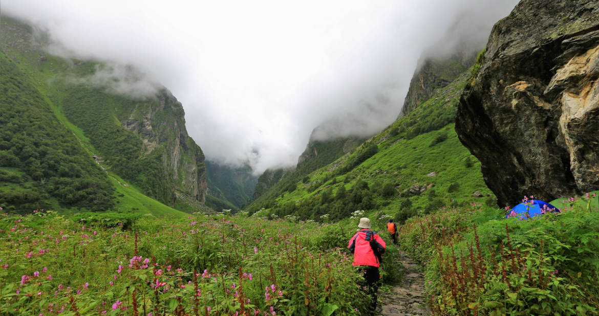 valley of flowers
