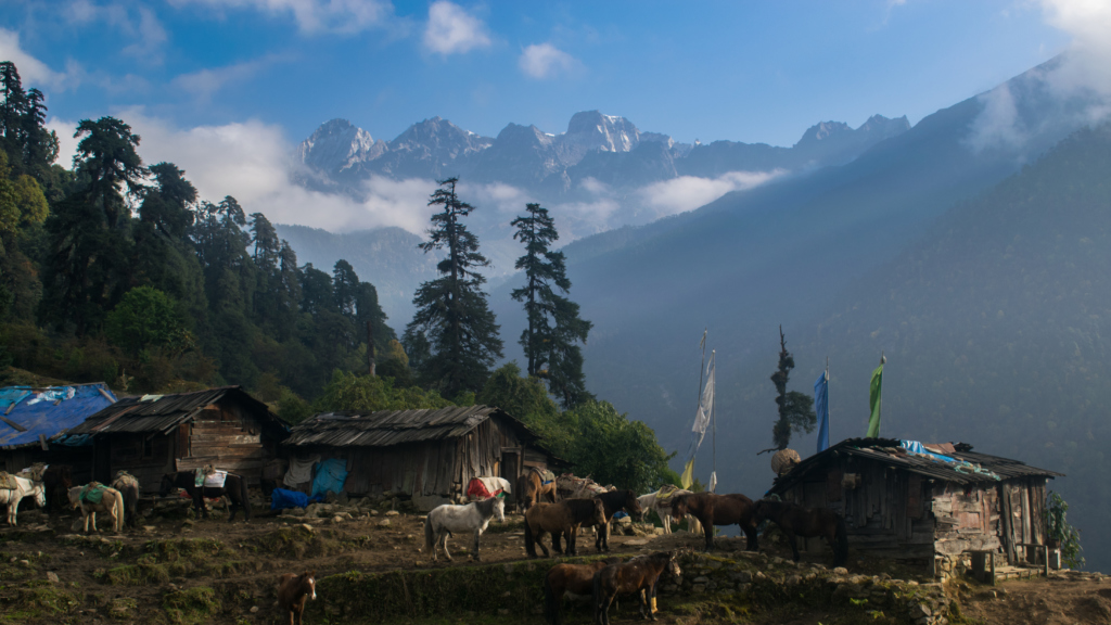 goechala trek height in feet