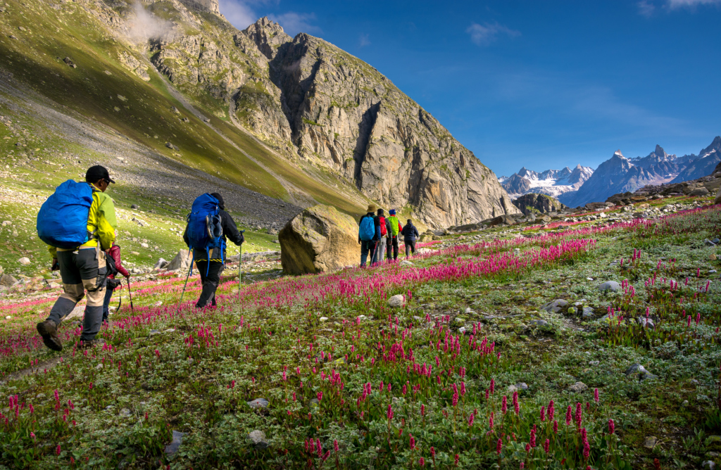 manali to hampta pass trek distance