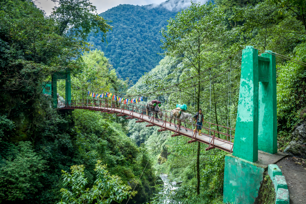 goechala trek height in feet