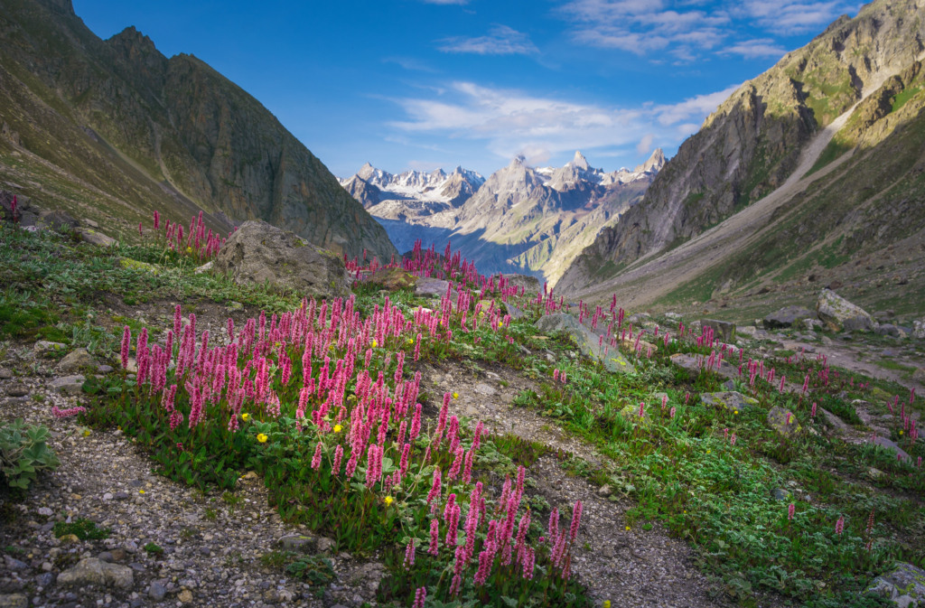 hampta pass trek in winter