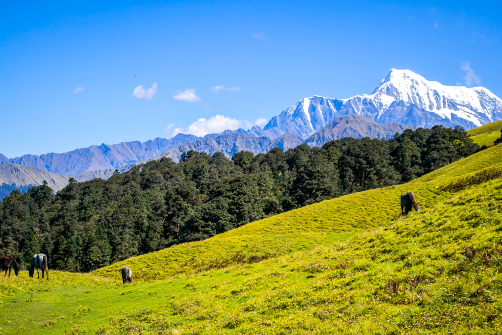 roopkund trek temperature