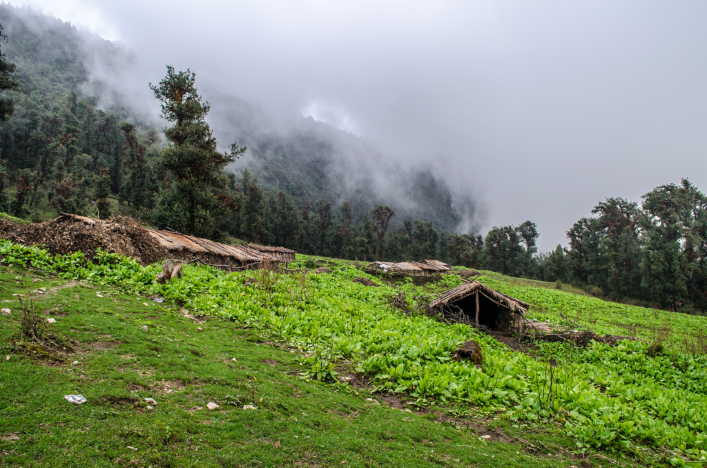 roopkund trek in december