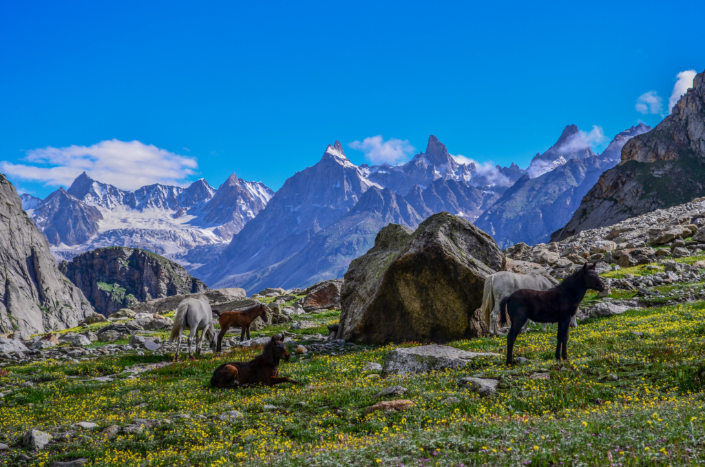 hampta pass trek in winter