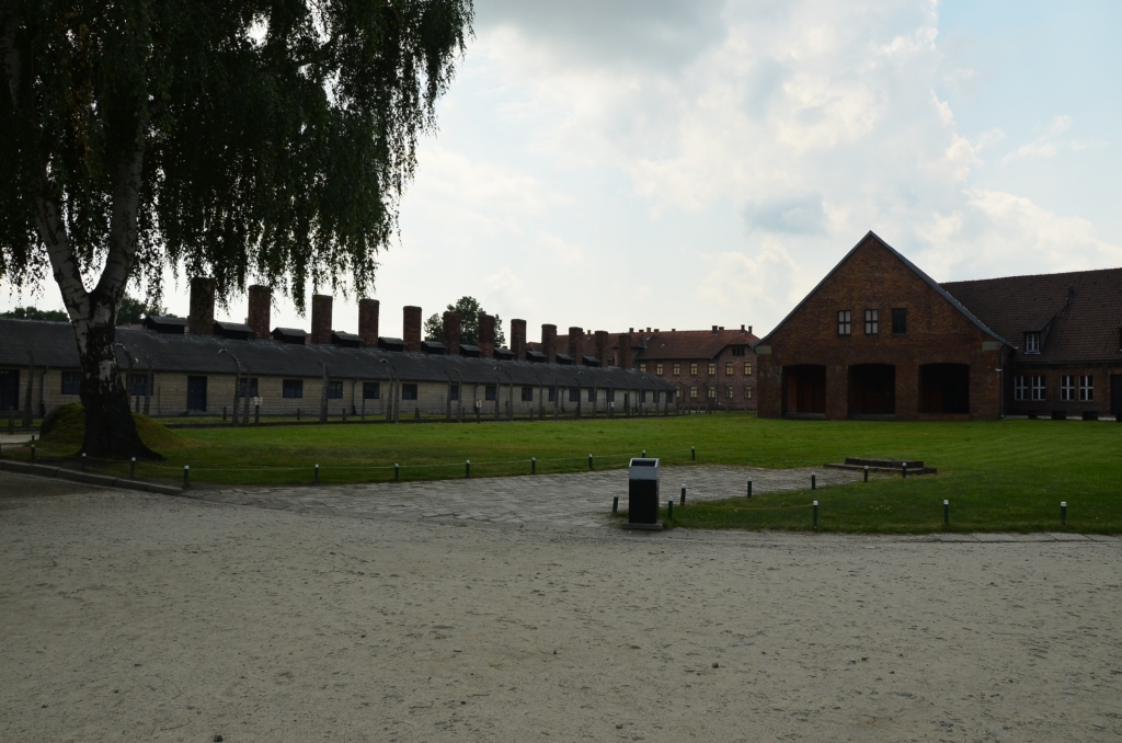 Auschwitz-Birkenau Museum Guide