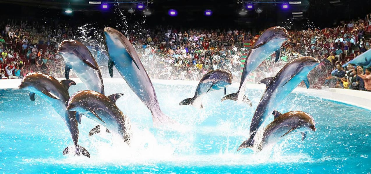 escape-the-heat-dubai-s-best-indoor-places-to-visit-in-summers