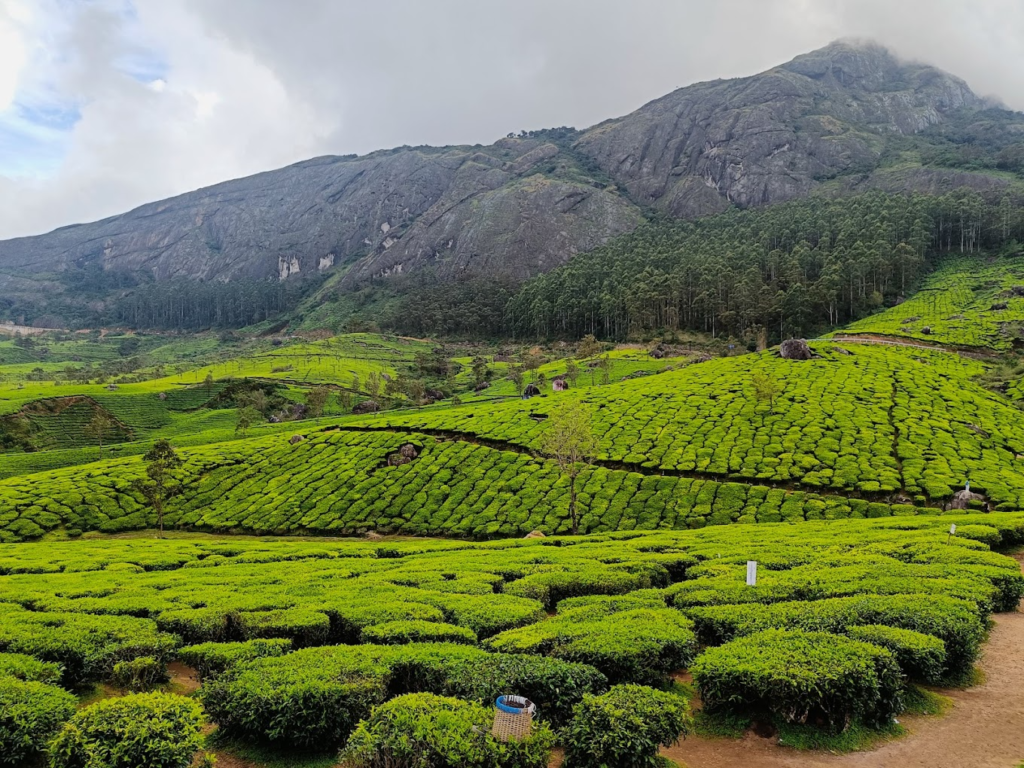 Lockhart Gap - Places to Visit in Munnar for Couples