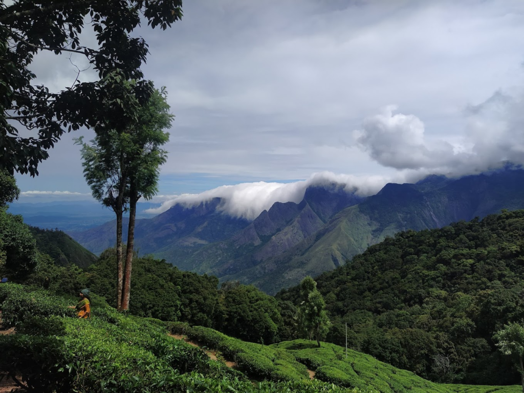 Top Station - Places to Visit in Munnar for Couples