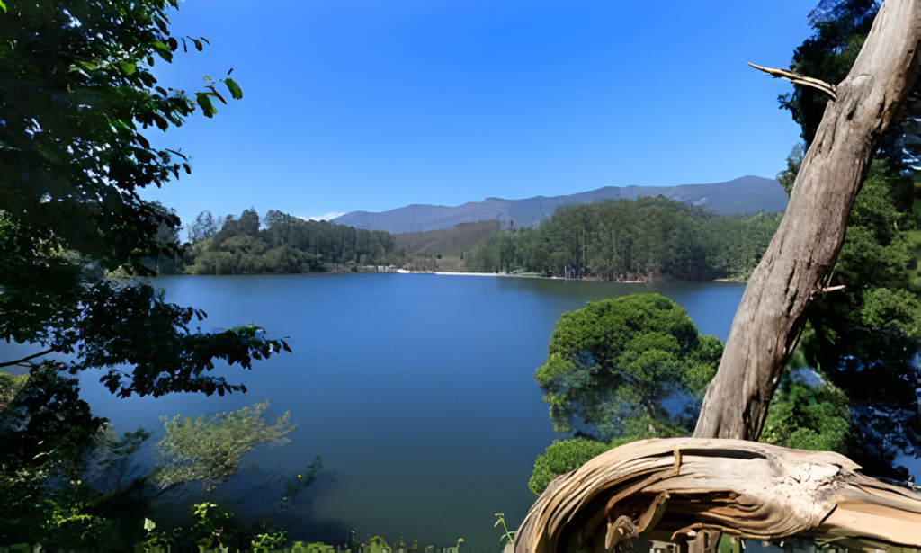 Kundala Lake - Places to Visit in Munnar for Couples