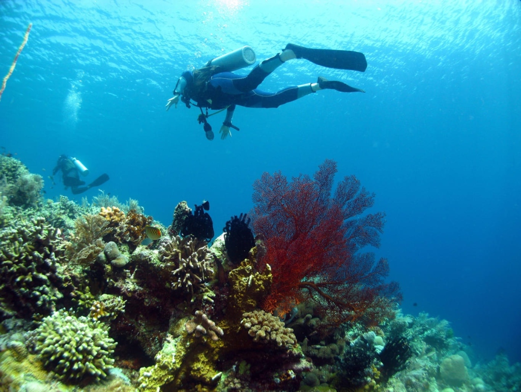 scuba diving in andaman