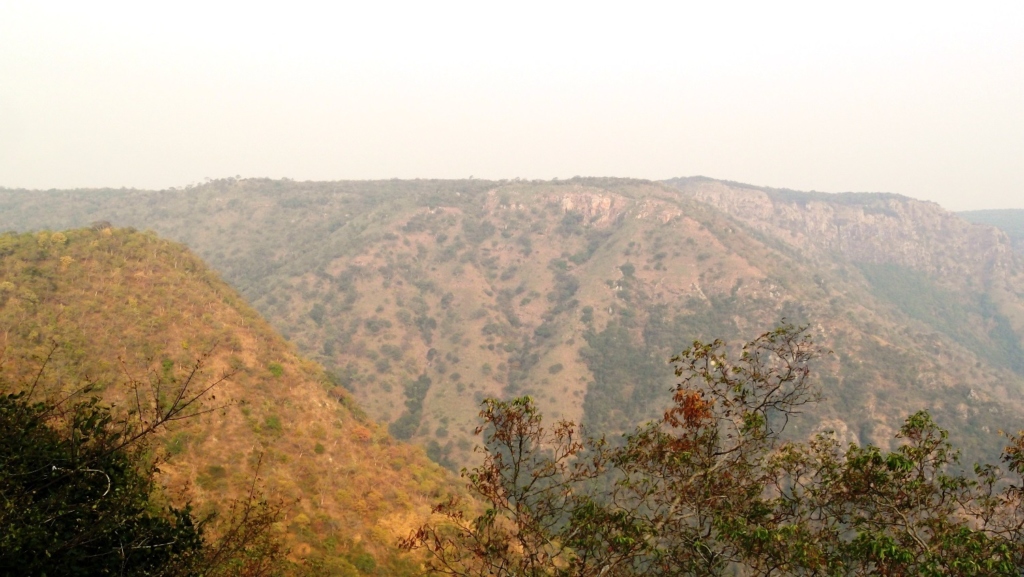 Sathyamangalam Forest, Tamil Nadu