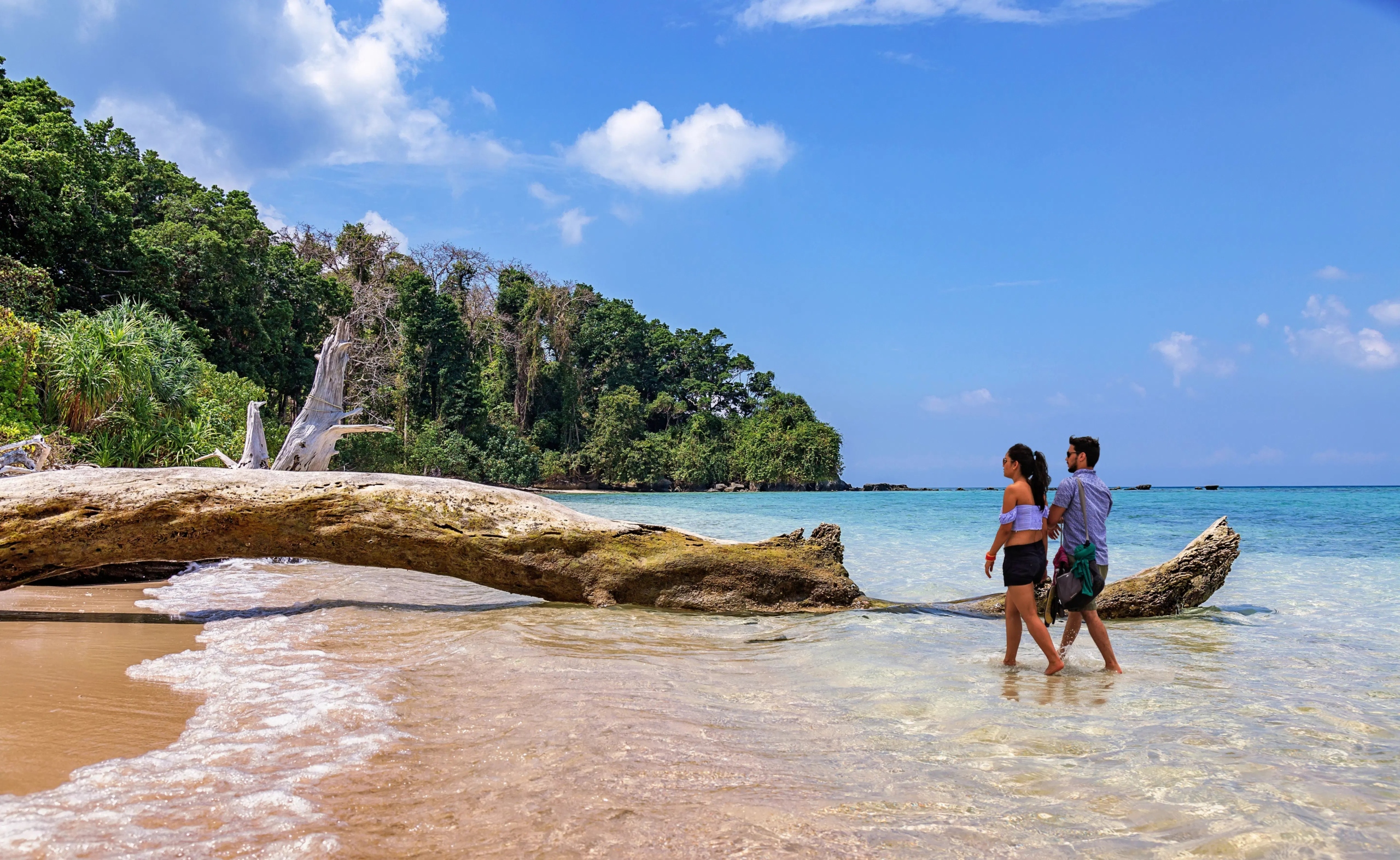 Andaman beach
