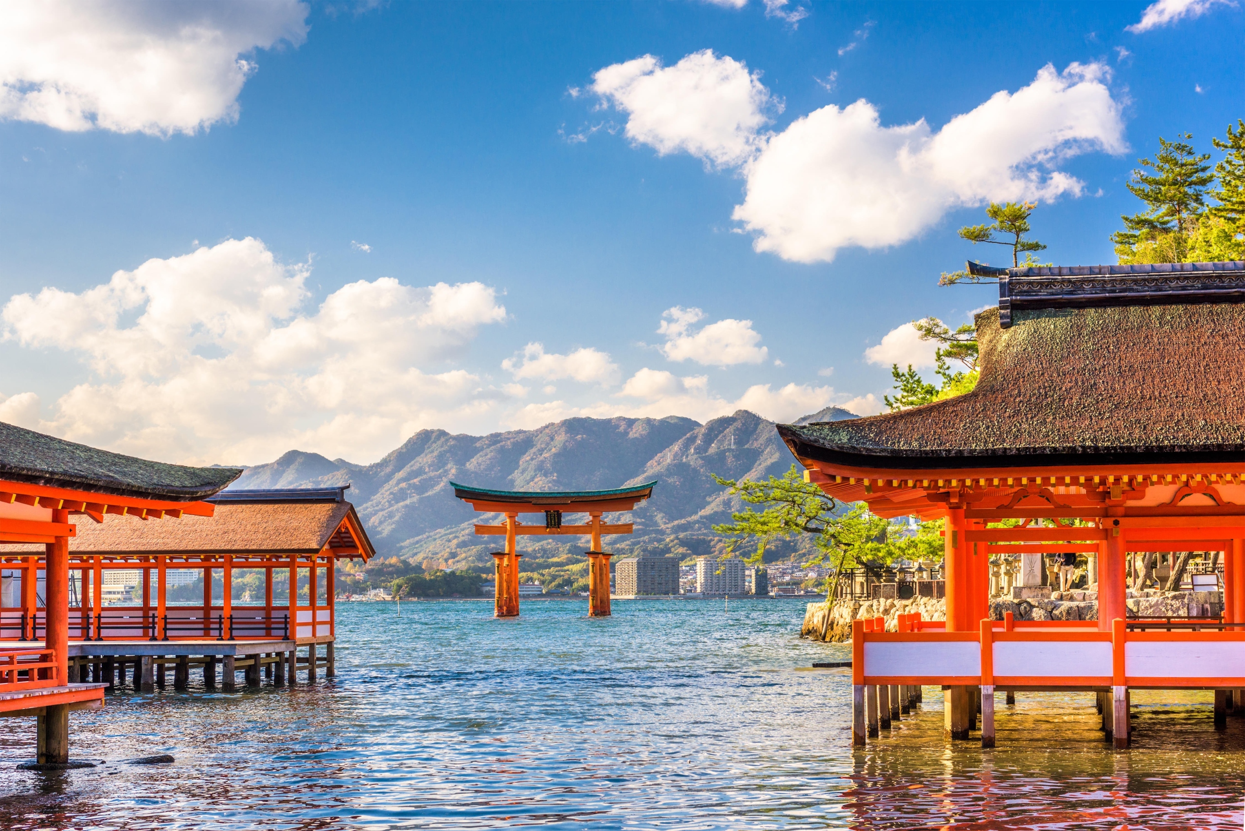 Japan Travel Tips: Essential Guide for a Smooth & Hassle-Free Trip