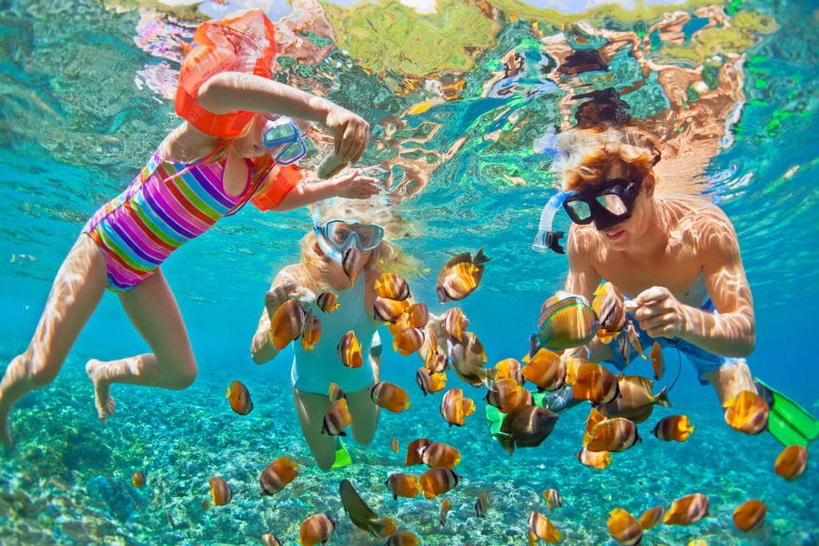 snorkelling in Andaman