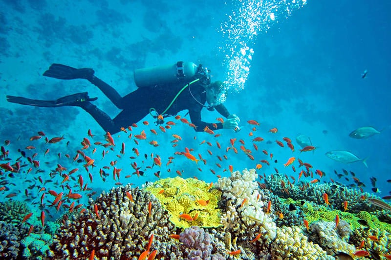 snorkelling in Andaman
