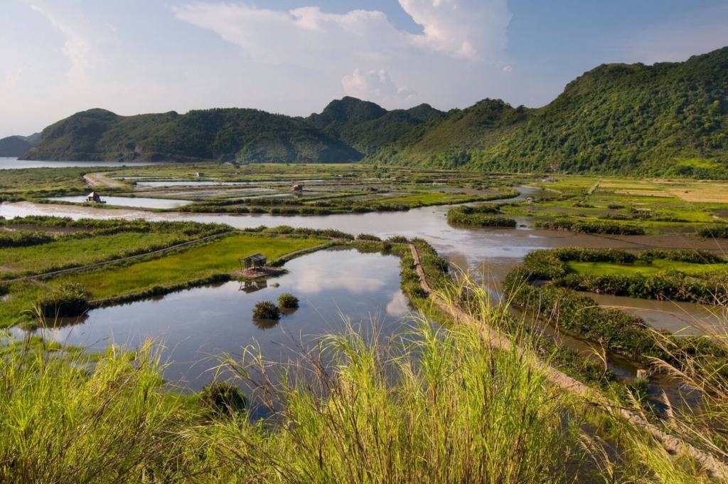 Cát Bà Island