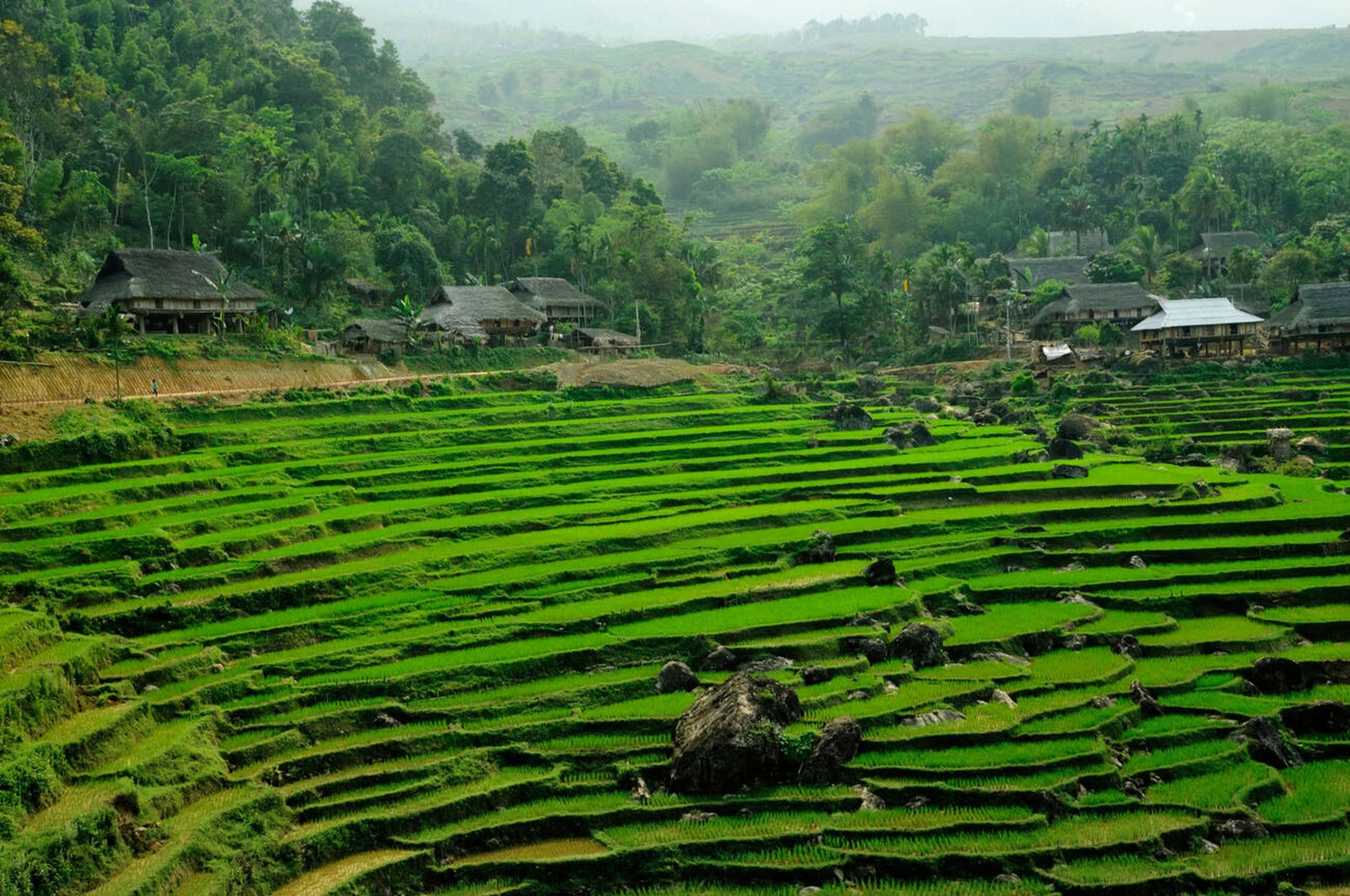 Vietnam