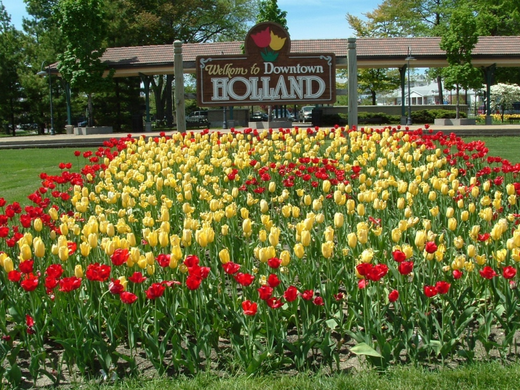 The Tulip Festival