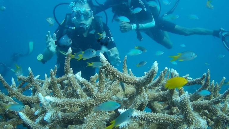 Marine Life in Andaman and Nicobar
