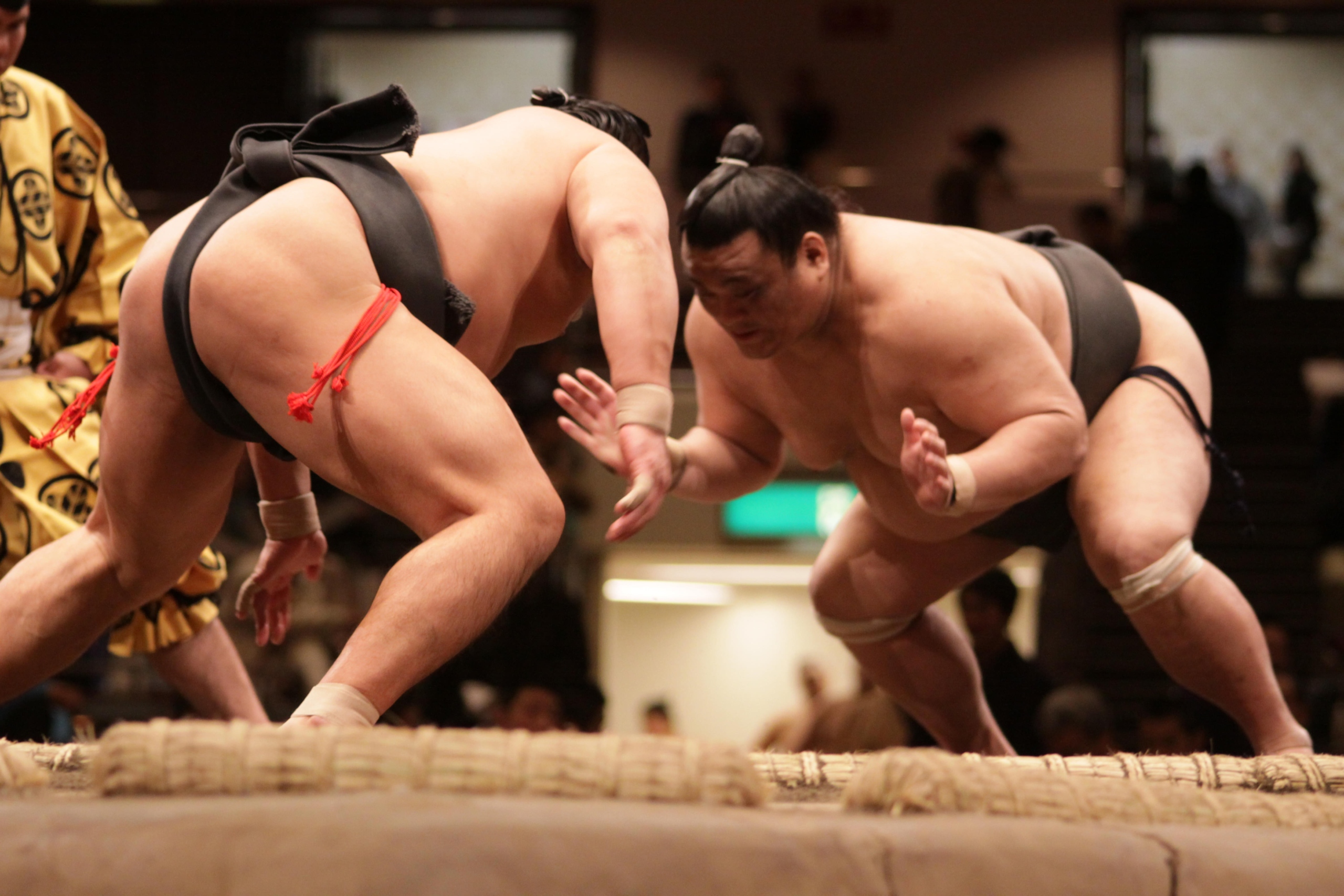 History of Sumo Wrestling