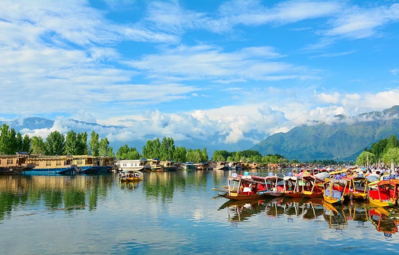 kashmir