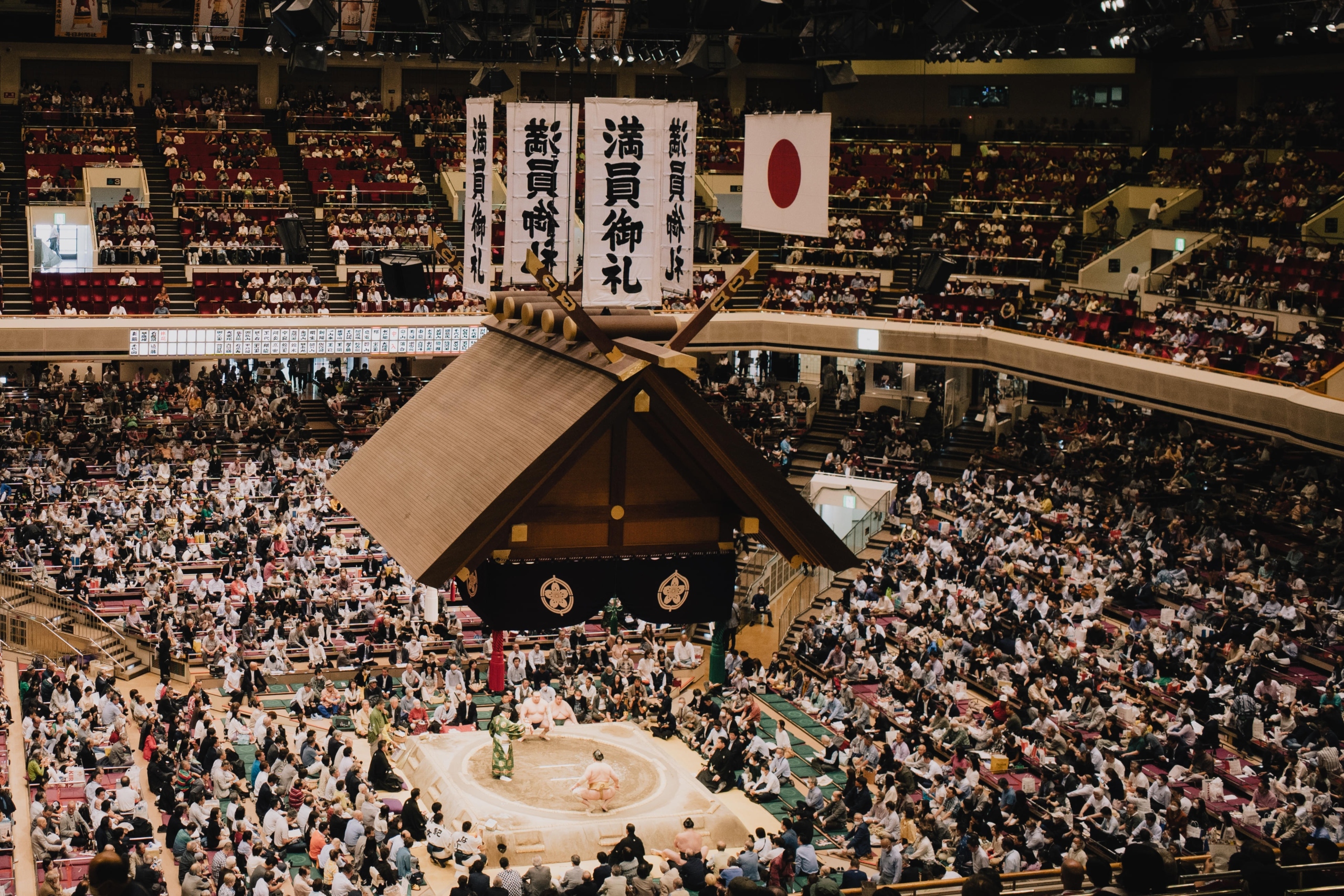 Where to See Live Sumo?
