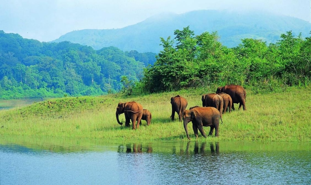 Thekkady