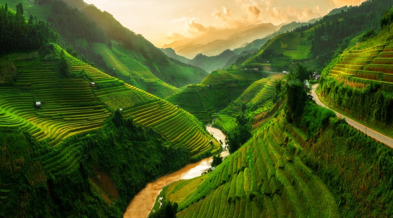 Sapa Rice Terraces