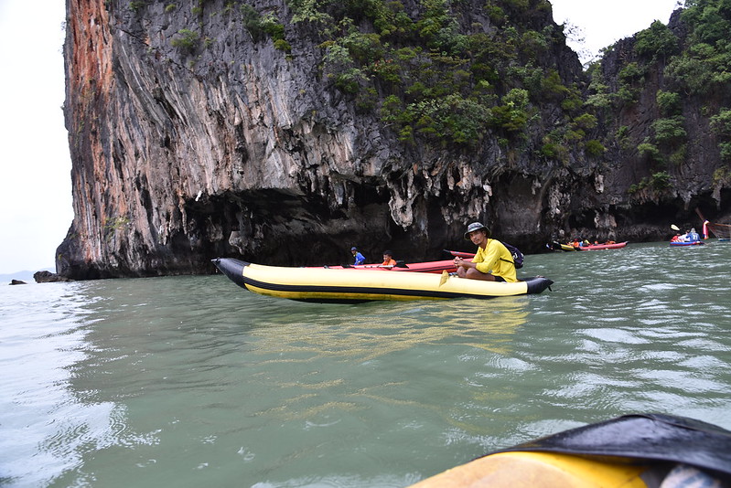 Kayaking Through Mangroves