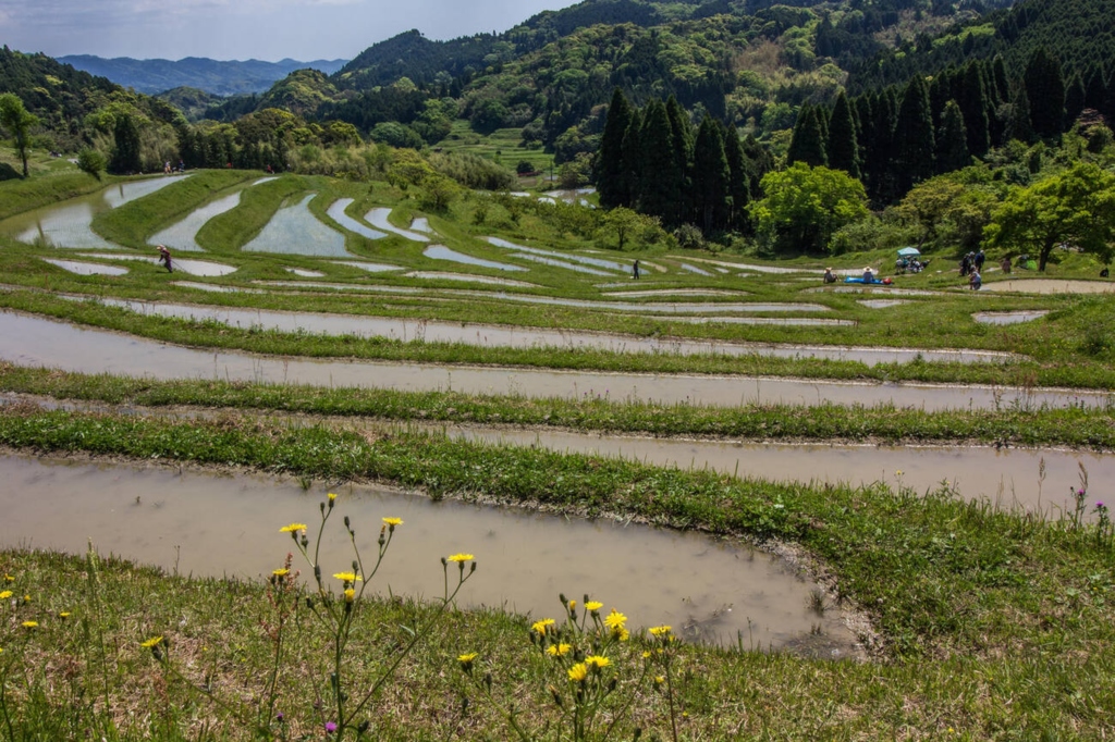 Oyama Senmaida, Chiba