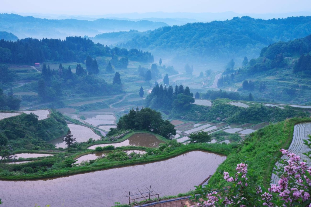 Hoshitoge Rice Terraces