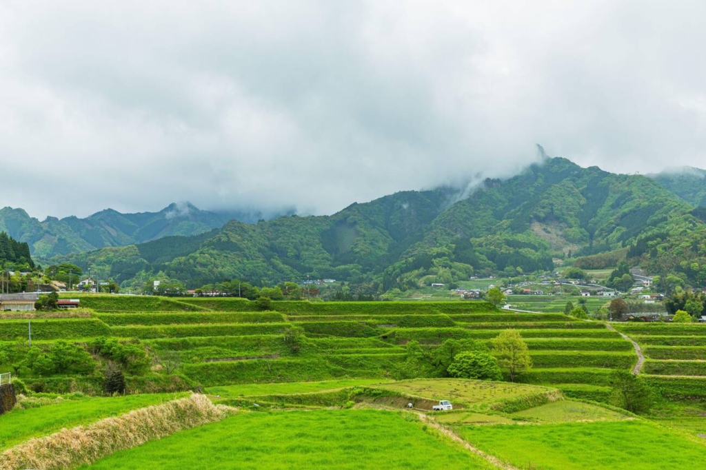 Takachiho Rice Terraces,
