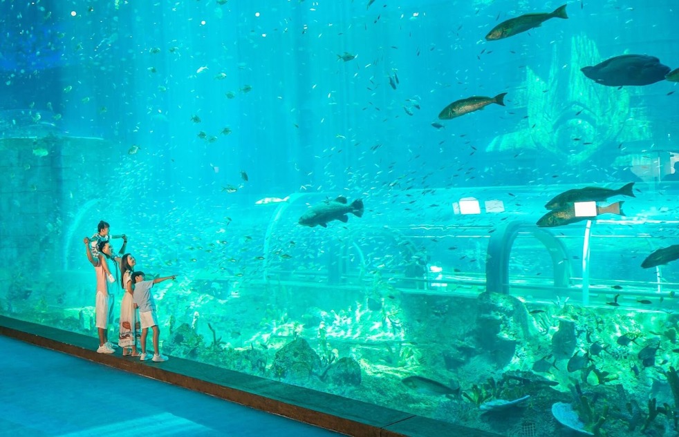 VinWonders Wave Park & Water Park