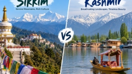 Sikkim or Kashmir