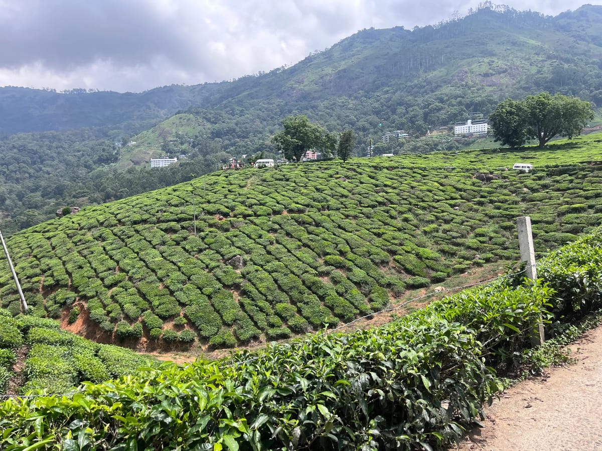 How Thrillophilia Helped Hemant's Family Experience the Best of Kerala