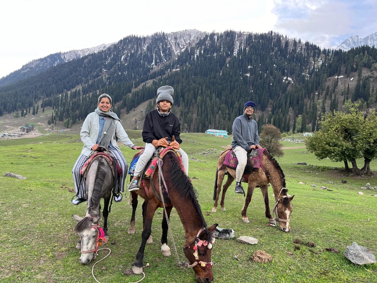 Rashida's Kashmir Trip with Thrillophilia: A Kashmir Family Holiday Planned with Care