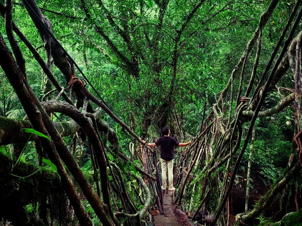 Nikhil Chaurasia's Meghalaya Trip with Thrillophilia: Six Days of Waterfalls, Living Root Bridges & Unforgettable Adventures