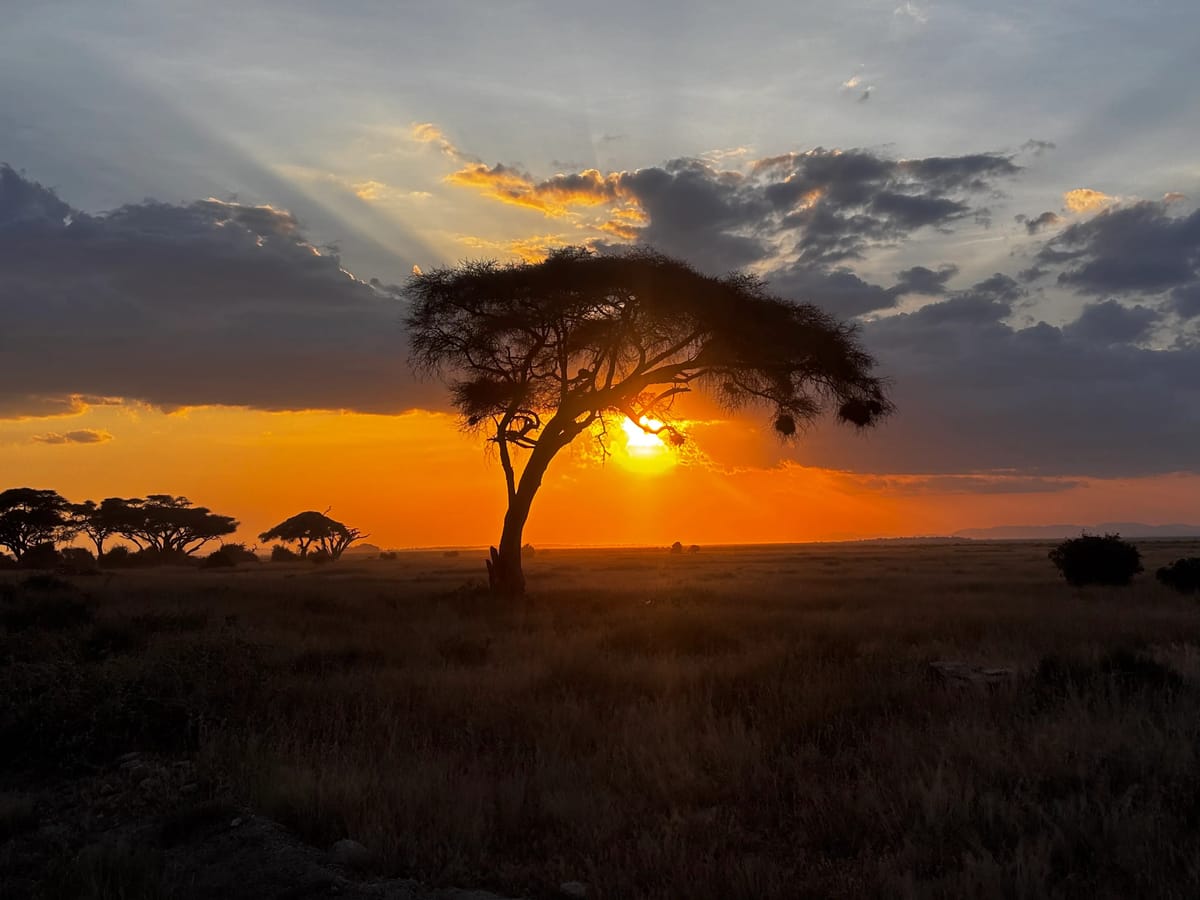From Kilimanjaro to the Serengeti: Viral’s Epic 11-Day Safari with Thrillophilia