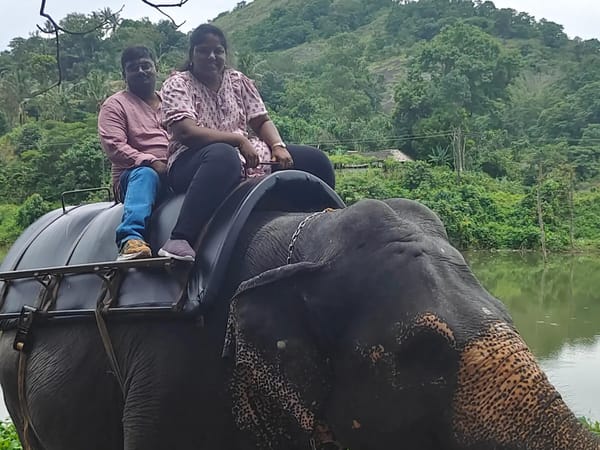 Eswar's 4-Day Kerala Getaway with Thrillophilia