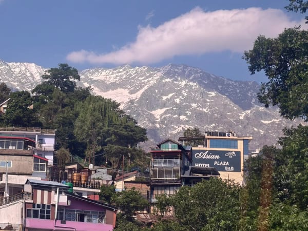 The Sridhar Family in Himachal: A Thrillophilia Trip Review