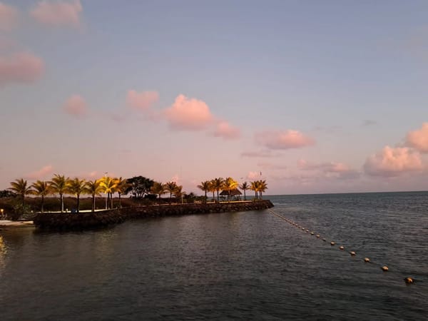 Mandar and His Partner’s Mauritian Escape with Thrillophilia