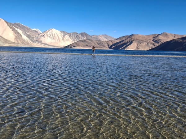 Neha's Ladakh Trip with Thrillophilia: Eight Days, Endless Roads, and a Solo Adventure Across the Himalayas