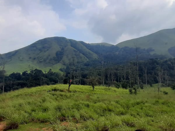 How Sanjay Dani's First Trip with Thrillophilia Became a Memorable Kerala Holiday