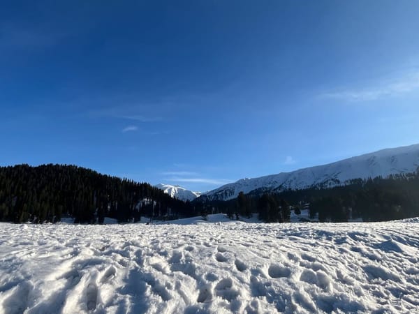 8 Days in Kashmir: Arijeet’s Family Holiday with Thrillophilia