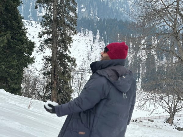 Six Days Across Kashmir with Thrillophilia: Nagendra and Nikhil's Experience