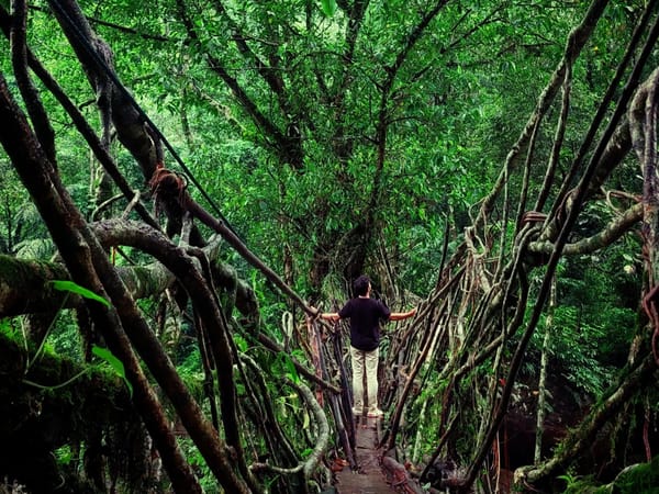 Nikhil Chaurasia's Meghalaya Trip with Thrillophilia: Six Days of Waterfalls, Living Root Bridges & Unforgettable Adventures