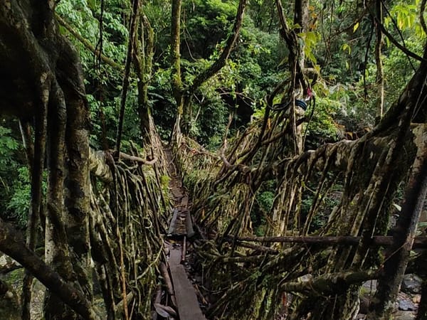 Prateek’s Meghalaya Trip: From Nervous Beginnings to Memories for Life with Thrillophilia