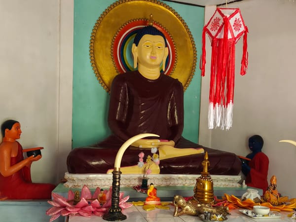 A Solo Escape Across Sri Lanka: Anamika Rawat's Personalised Journey with Thrillophilia